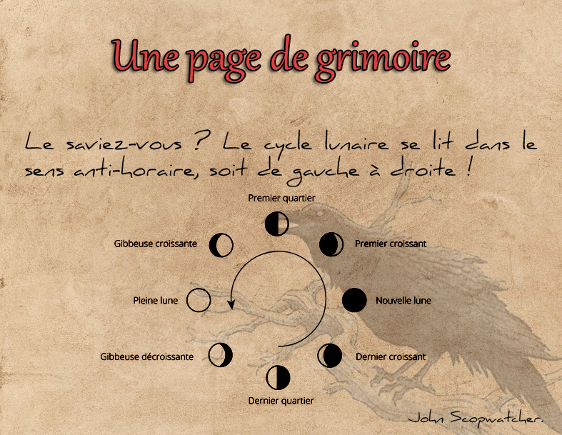 Le cycle lunaire